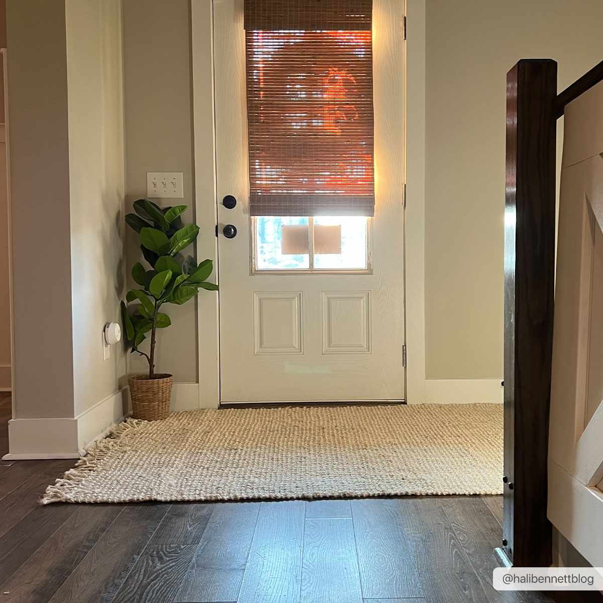 Rug Collection